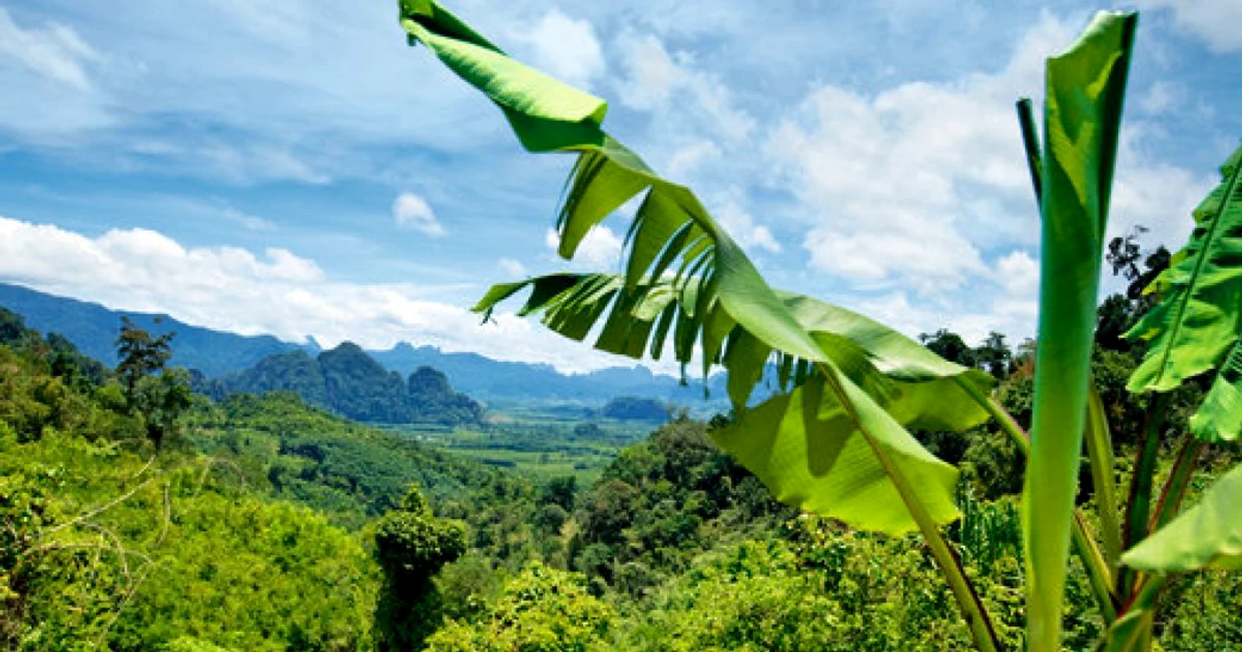 Insulele
Capului Verde, o vacanţă exotică deosebită!