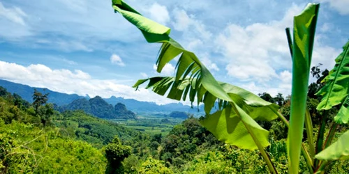 Insulele Capului Verde