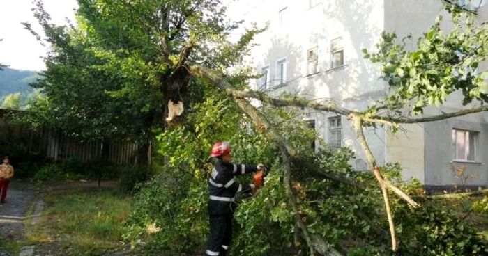 Furtuni în Coreea de Nord