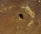 Cercetări arheologice la tumulii din Băicoi (© Muzeul Județean de Istorie și Arheologie Prahova)
