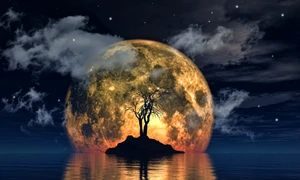 spooky tree against big moon jpg
