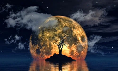spooky tree against big moon jpg