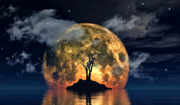 spooky tree against big moon jpg