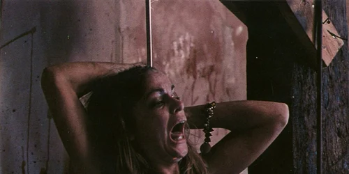 scena film The Texas Chain Saw massacre