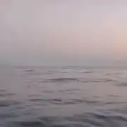GIF dronă gura portiței