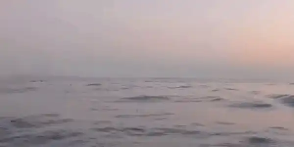 GIF dronă gura portiței