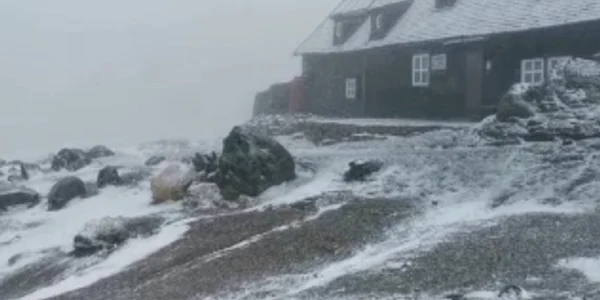 ninge in bucegi 