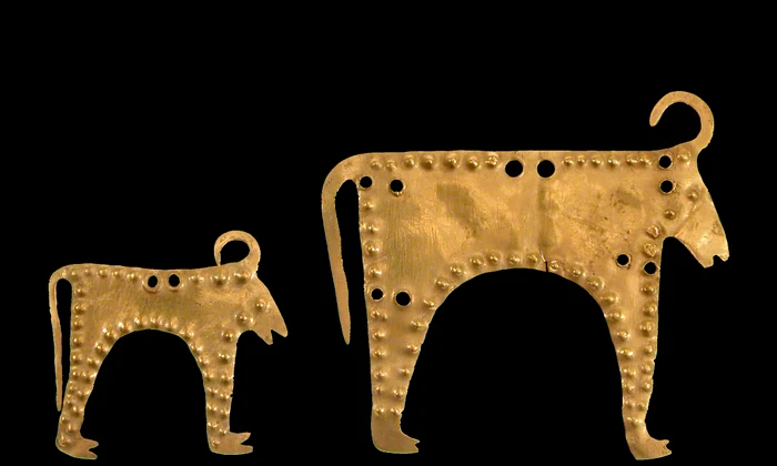 Gold bulls 2 jpg