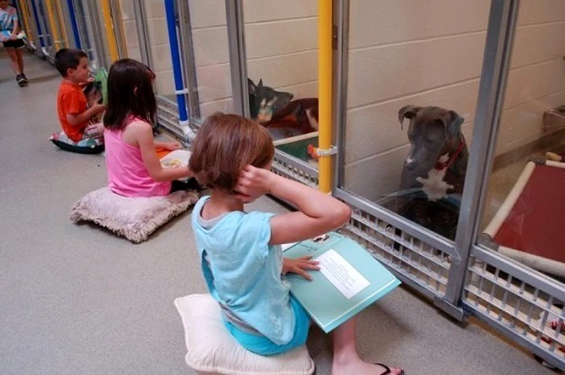 
    Între copii și câini se creează o relație aparteFoto: Humane Society of Missouri  
