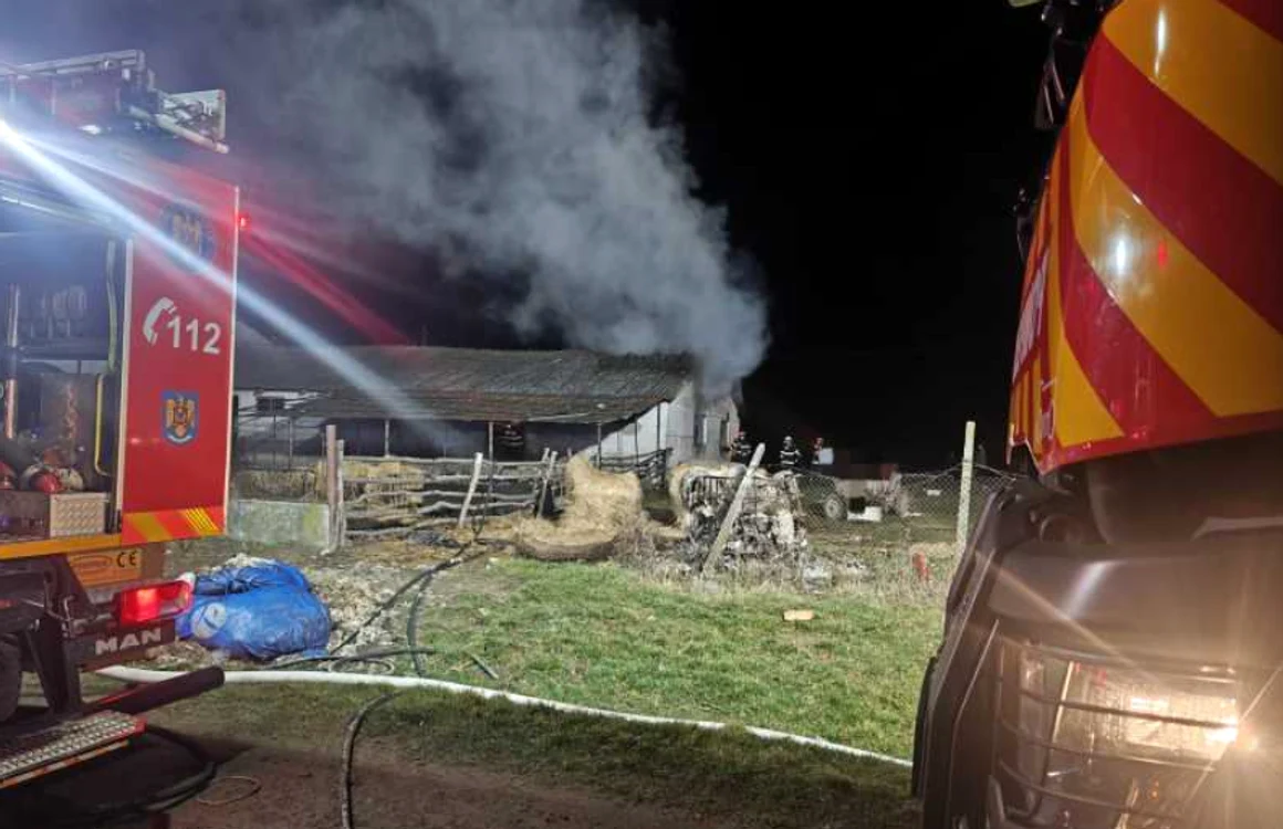 Incidentul a avut loc la o fermă. FOTO ISU Satu Mare