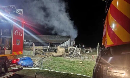 femeie incendiata la o ferma FOTO ISU Satu mare png