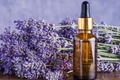 5 ulei de lavanda 444117952 jpg jpeg