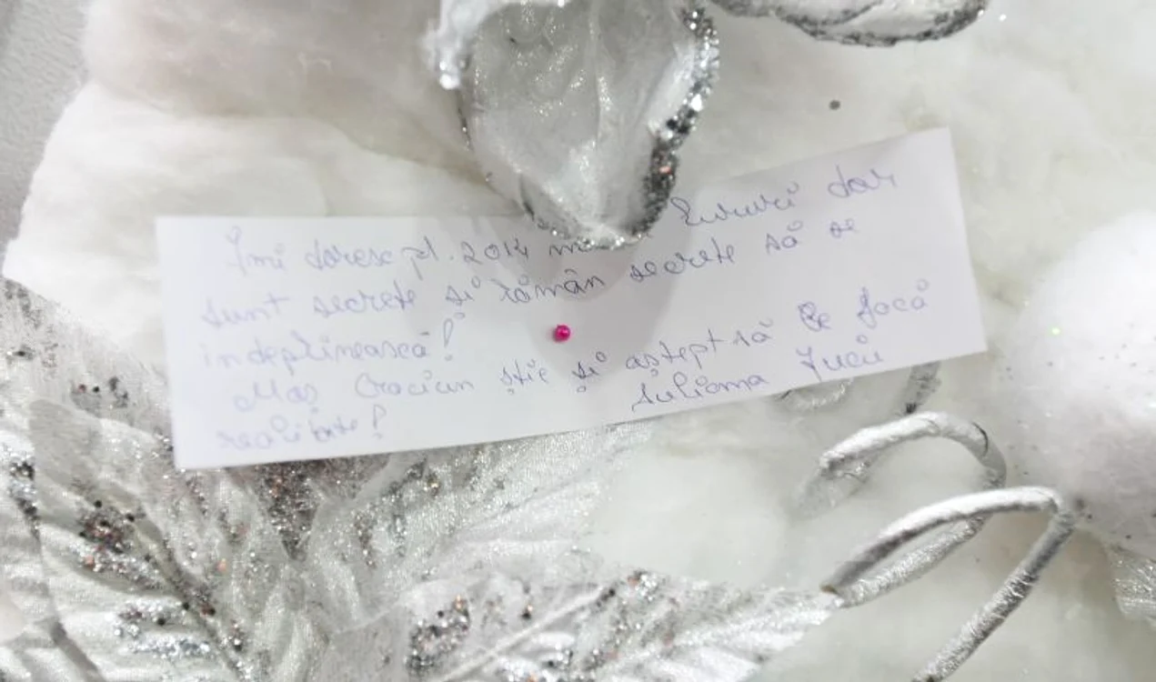 Nicoleta şi Iuliana Luciu, dorinţe pentru 2014 (foto: Dorin Constanda)