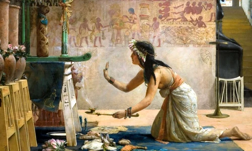 STUDIU  Când au fost domesticite pisicile jpeg