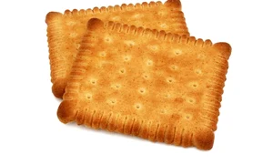 shutterstock 1411687844 jpeg