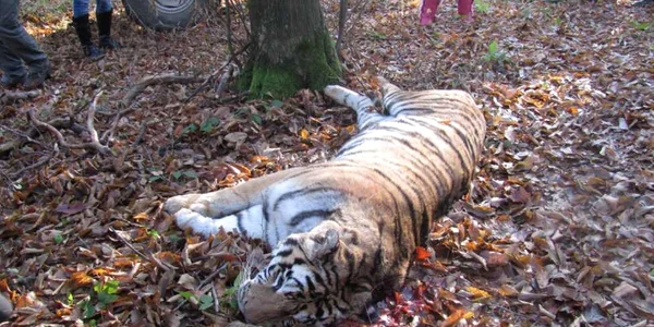 zoo sibiu 8