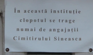 Cu ochii n 3,14 jpeg