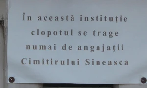 Cu ochii n 3,14 jpeg