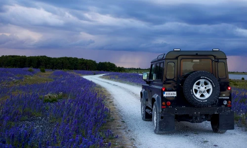 Tocmai ți ai luat permisul de conducere 3 sfaturi pentru proaspeții șoferi jpg