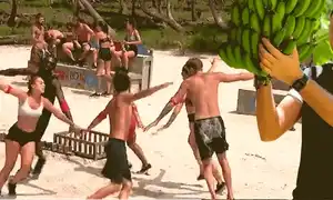 cub survivor andrei onofrei animat gif