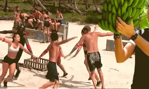 cub survivor andrei onofrei animat gif