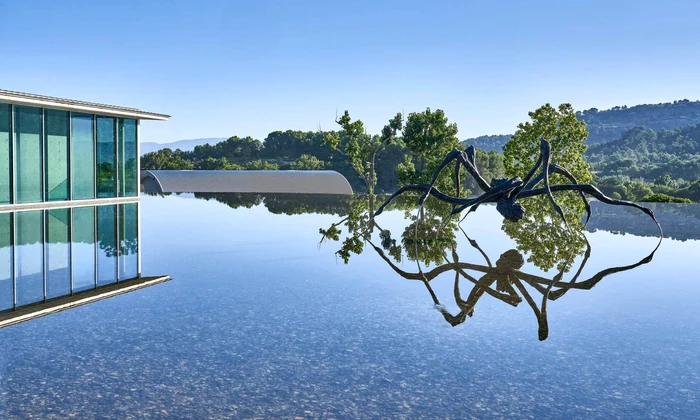 1  DESCHIDERE Louise Bourgeois Paianjenul in fata centrului Tadao Ando jpg