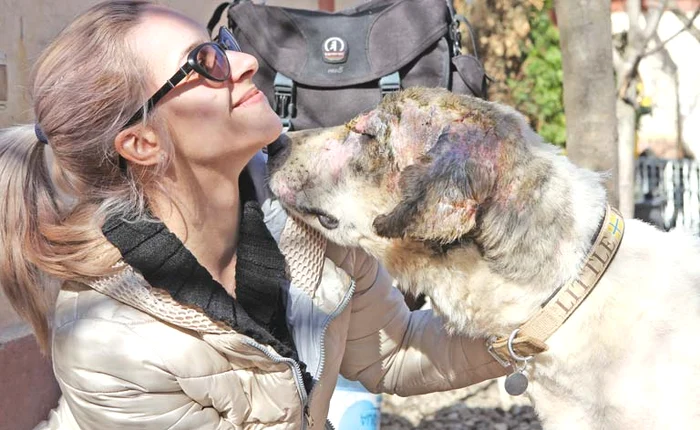 Ciobănescul se joacă toată ziua cu Marius ChircaFoto: Florin Şuler