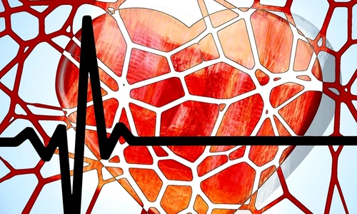 1 68504 original jpg jpeg