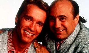 foto mic bfffaza gemenii copy jpeg