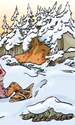 hidden bear optical illusion jpg