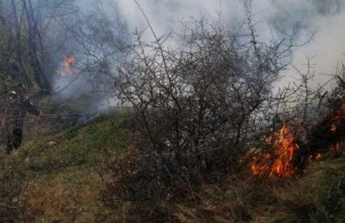 Incendiile izbucnite în ultimele zile au fost amplificate de vânt. FOTO: D.S.