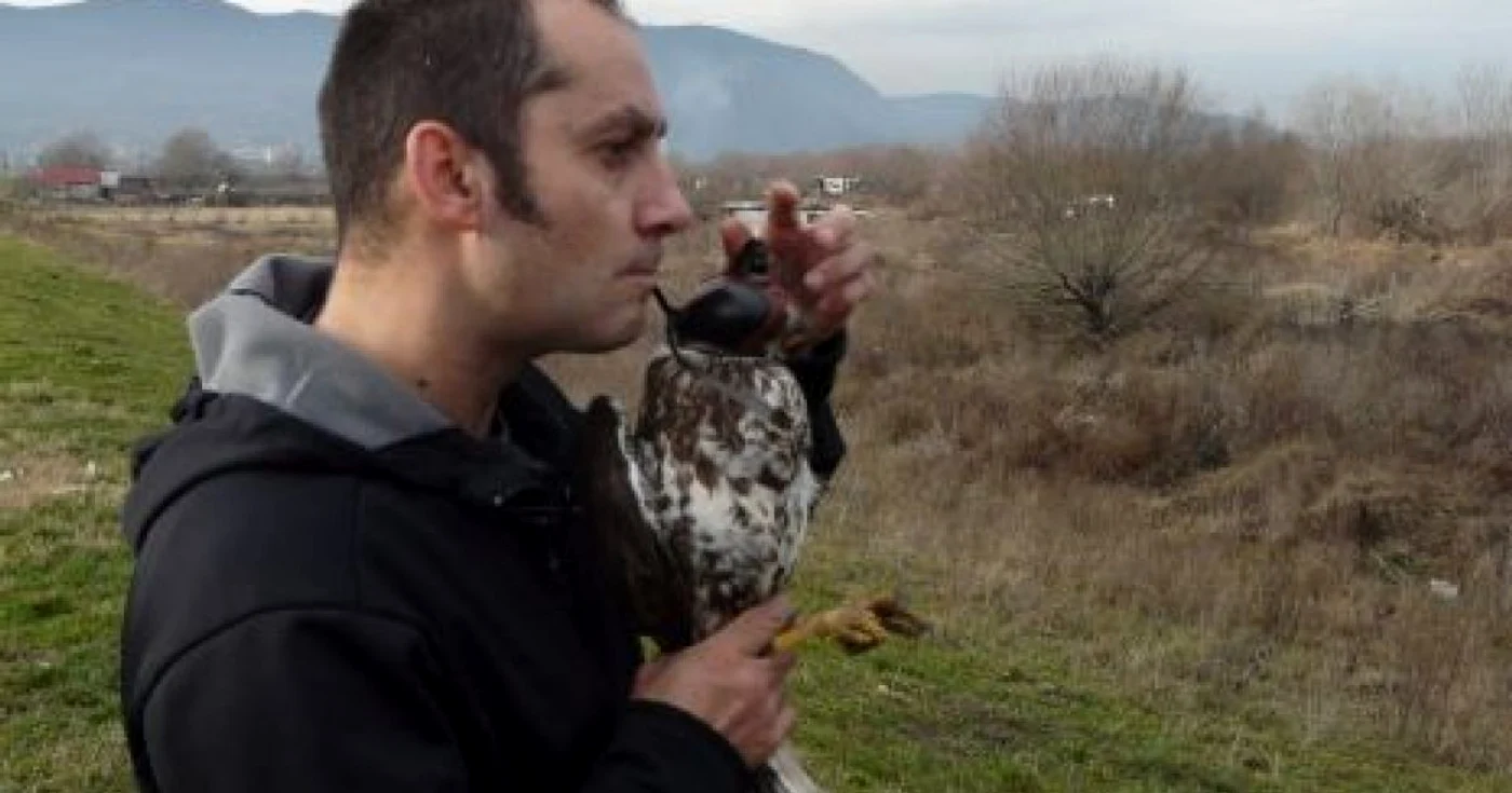 Momentul eliberării: Dorin Cărăbeţ dezleagă şnurul care ţine pasărea captivă