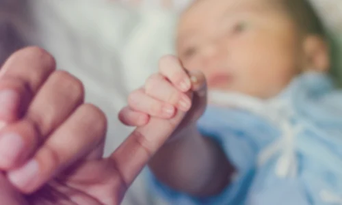 Adoptie FOTO Shutterstock
