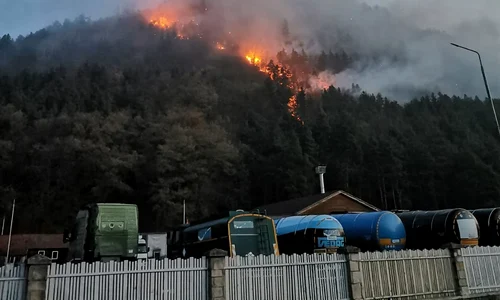 incendiu padure jpeg