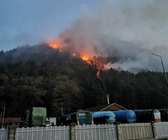 Pădurea arde de mai bine de 14 oreSursa foto: ISU Bacău