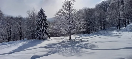 Sarmizegetusa regia in zapada Foto Sorin Zgăvârdean (1) jpg