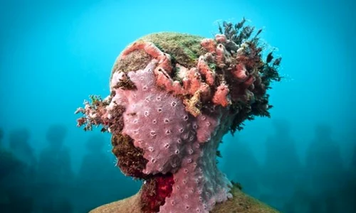 historia ro undefined jpeg