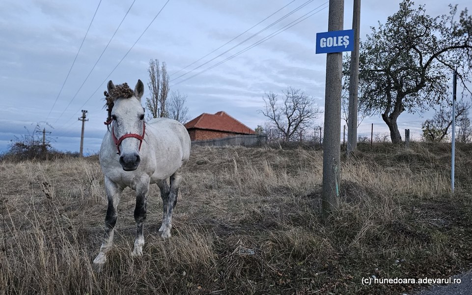 Sate aproape pustii din România salvate de șosele noi. Câțiva localnici se mai bucură de ele VIDEO