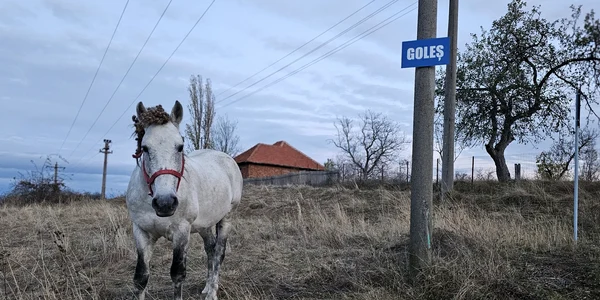 Satul Goles din Hunedoara Foto Daniel Guță  ADEVĂRUL (19) jpg