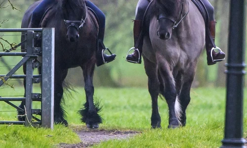 *EXCLUSIVE* **STOCK IMAGES** HRH Prince Edward riding along the banks of the River Thames in Windsor jpeg