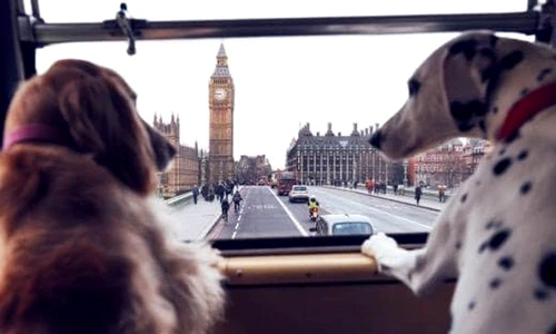 1 73022 original jpg jpeg