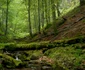 Munţii Făgăraş deţin „cea mai sălbatică vale a Europei” în Vâlcea - Valea Boia Mică Foto Agent Green - credit Matthias Schickhofer - Euro Natur