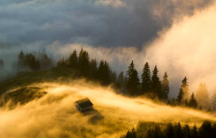 ovidiu lazar 5