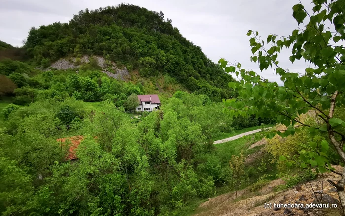Dealul Calvaria este brăzdat de galerii miniere. Foto: Daniel Guță. ADEVĂRUL