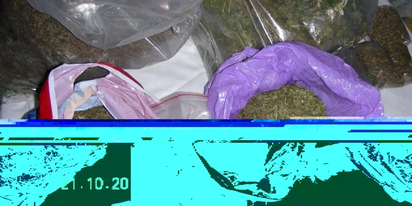 Polițiștii au confiscat 7 kilograme de cannabis la Oravița