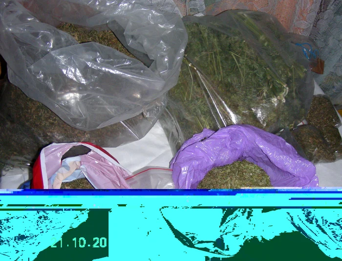 Polițiștii au confiscat 7 kilograme de cannabis la Oravița