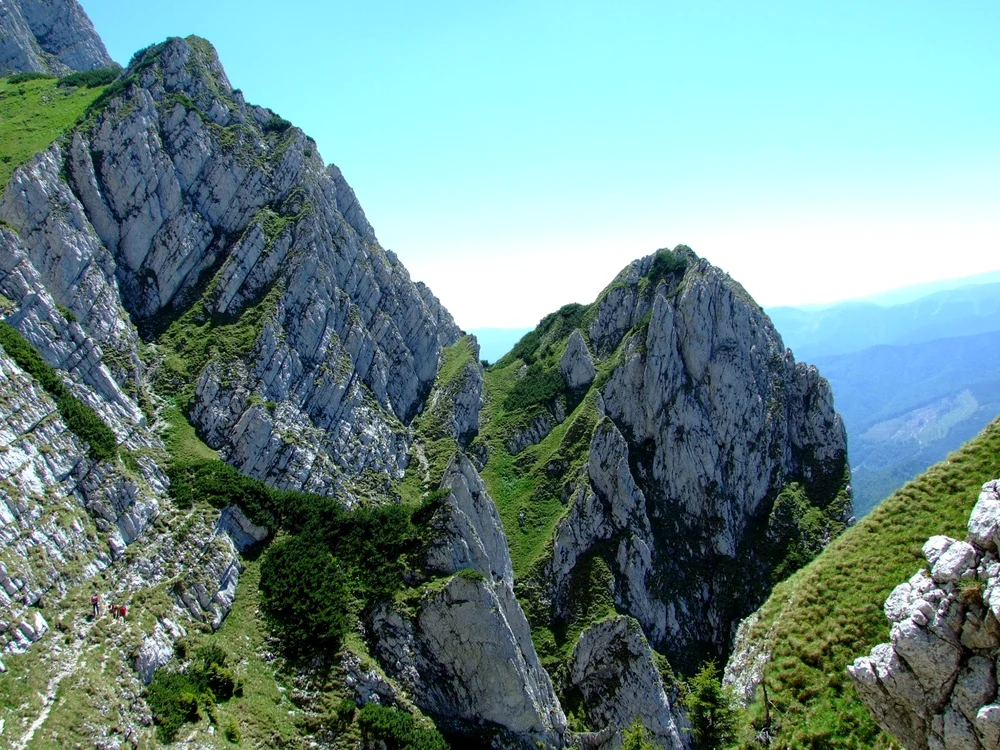 IDescoperirea a fost făcută în Masivul Piatra Craiului.