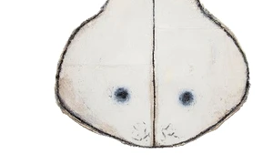 Horia Bernea – Caiete 1969 1976 jpeg