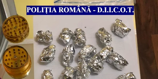 Canabis confiscat din locuinţa unui vâlcean bănuit de droguri de risc Foto Poliţia Română
