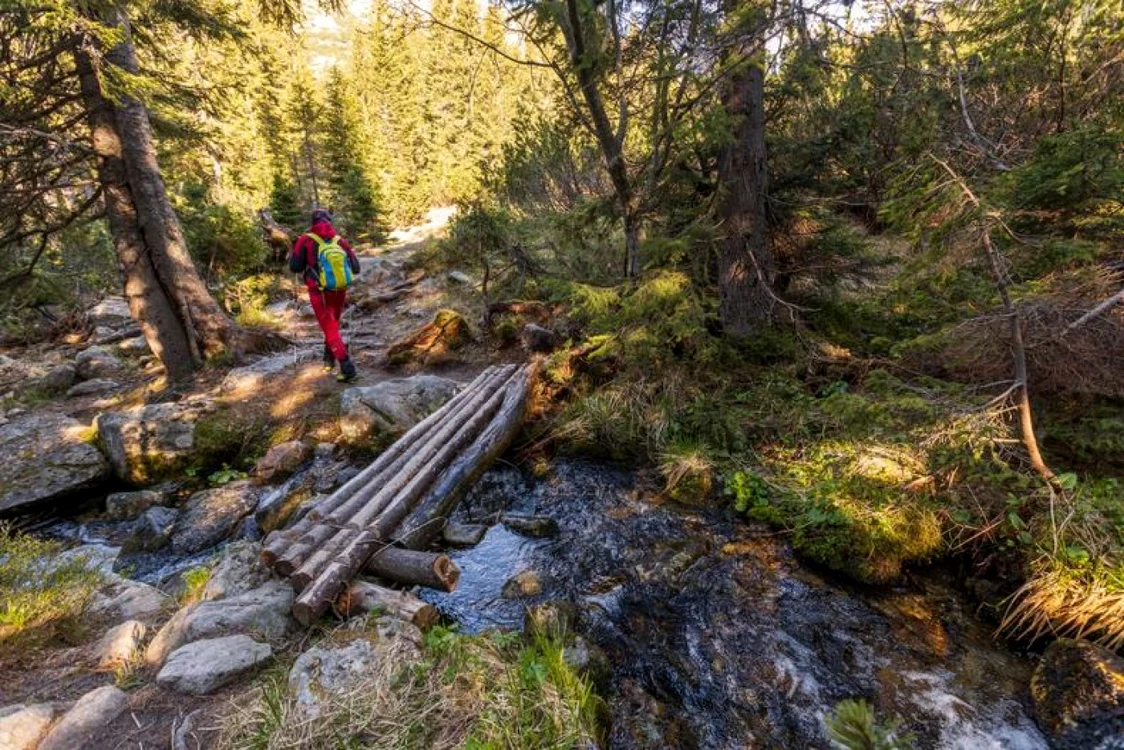 Familia a fost căutată în zona Poiana Pelegii FOTO Marius Turc